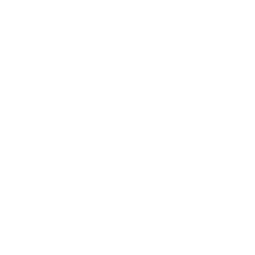 Bagrrys